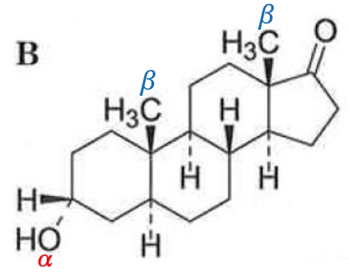 ステロイドの置換基の立体,α・β配置とは 93回薬剤師国家試験問15a